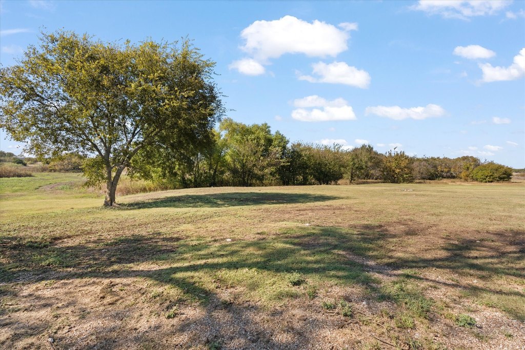 Picture 23
