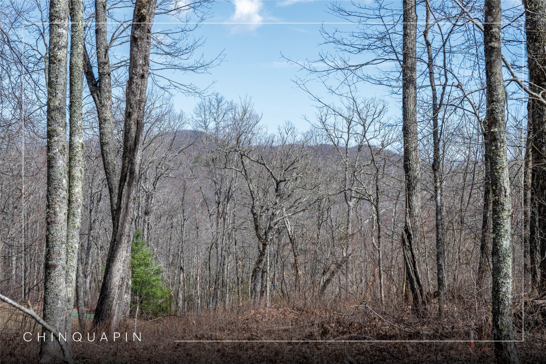 Glenville Land in Chinquapin Community