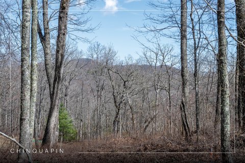 Glenville Land in Chinquapin Community