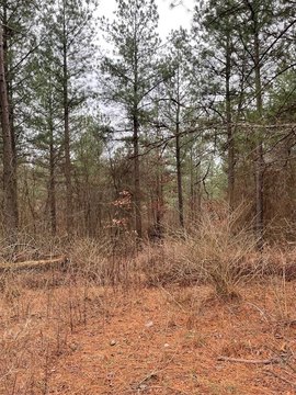 LAND - Broken Bow, OK