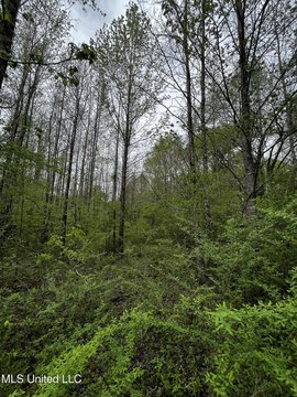 Wooded Land Near Grenada Lake