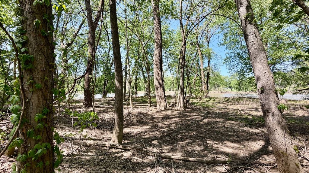Picture 15