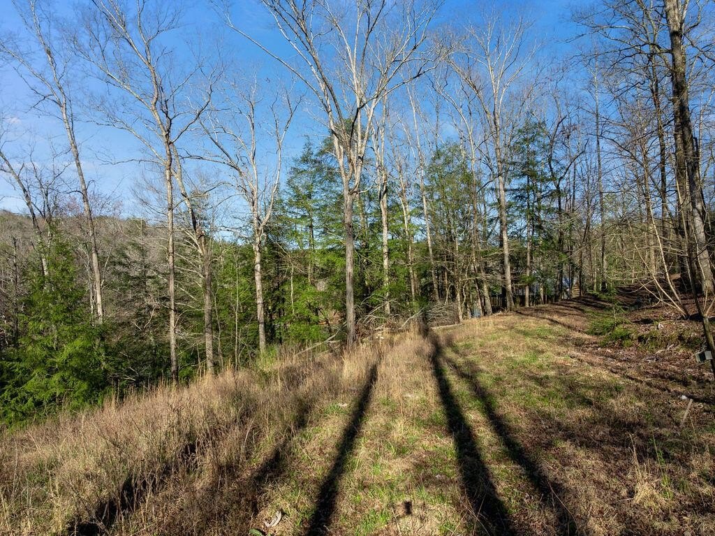 Picture 19