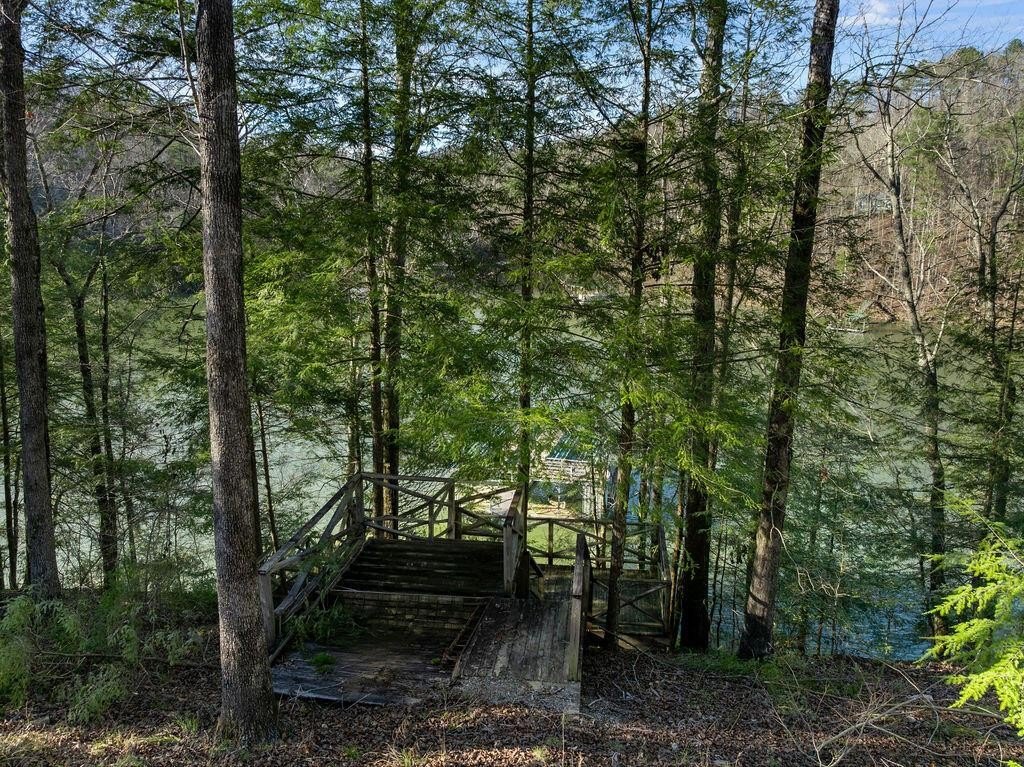 Picture 3