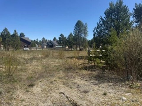 Wooded Lot with Tamarack Views