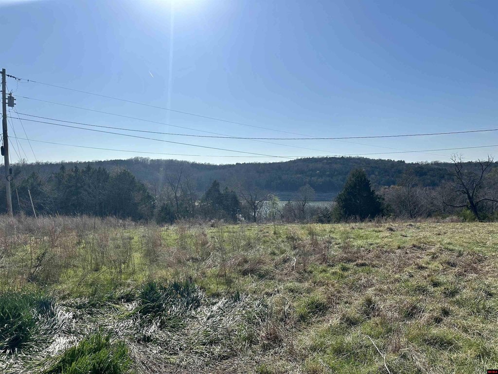 Picture 11
