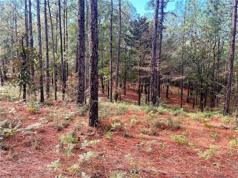 Estate Lots in Timber Ridge