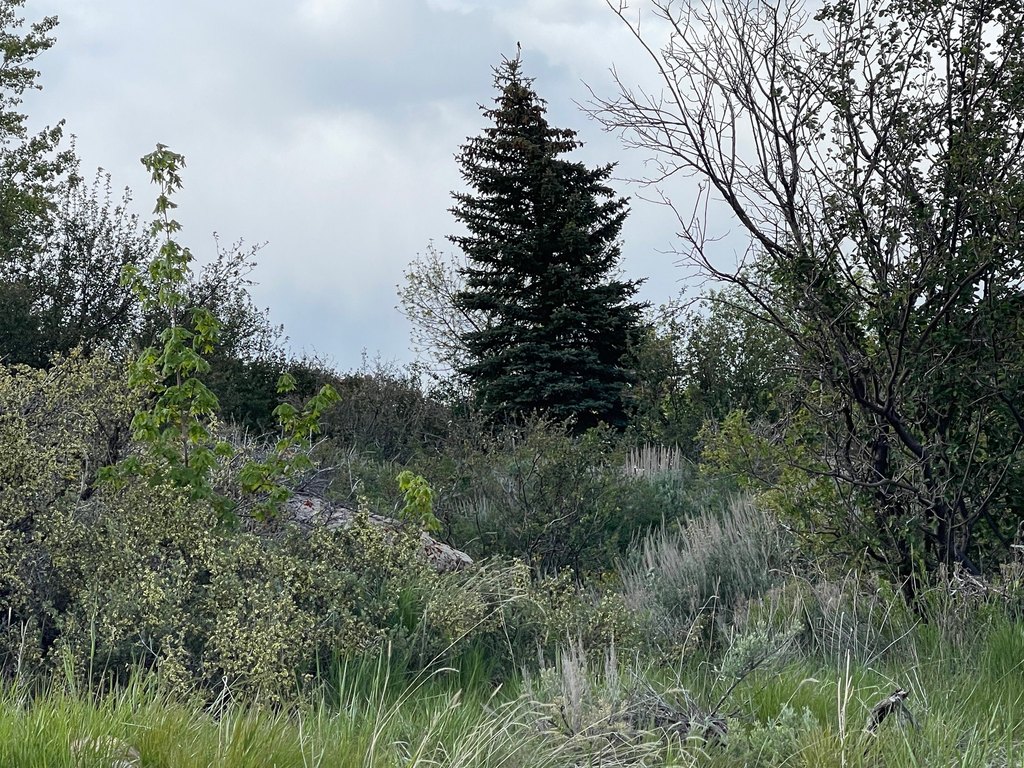 Picture 6