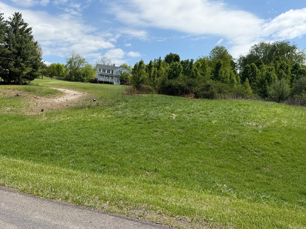 Picture 6