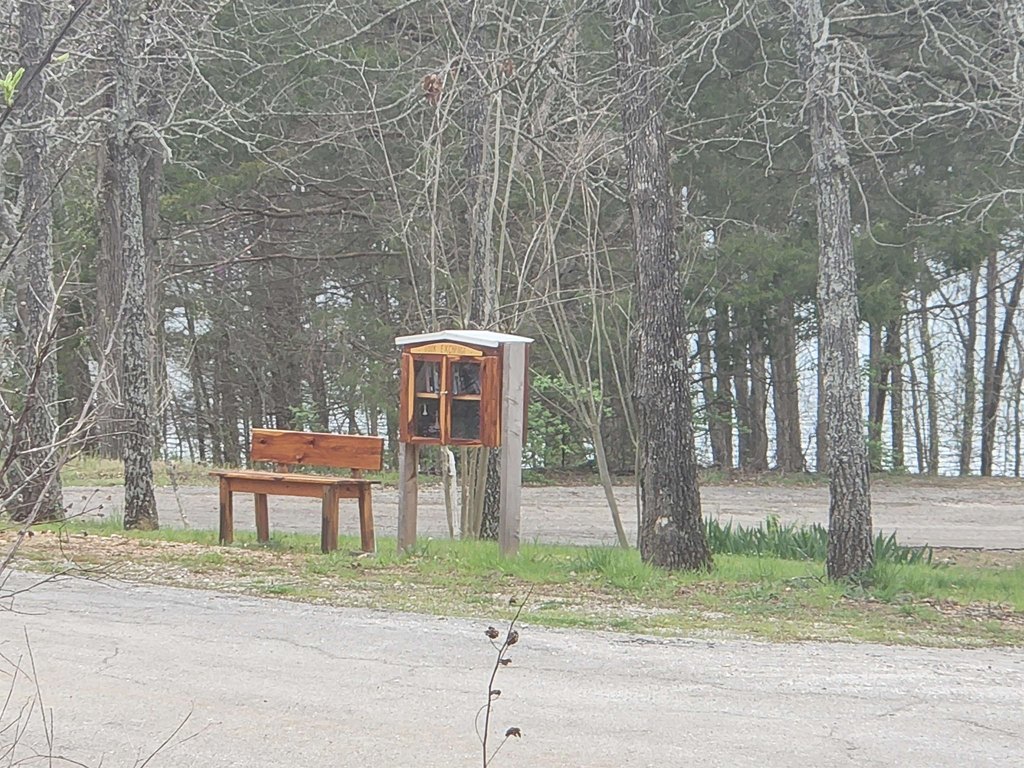 Picture 3
