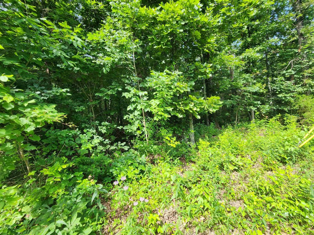 Picture 26