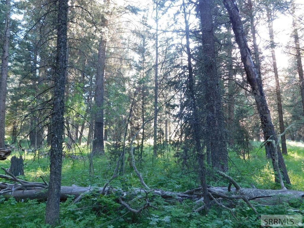 Picture 8