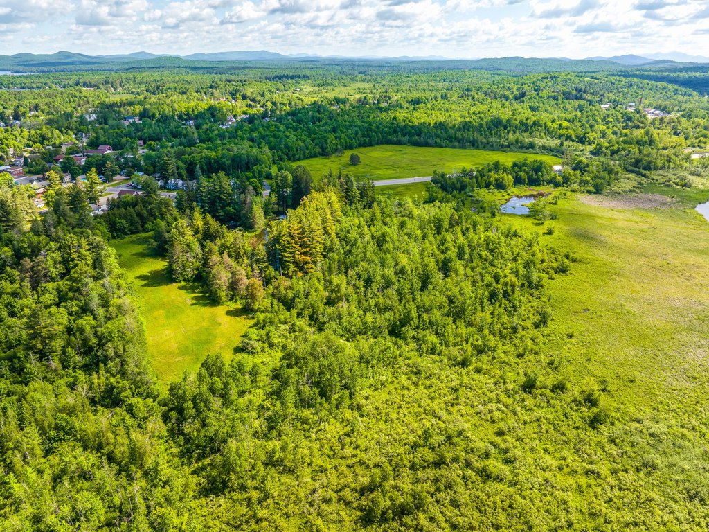 Picture 52