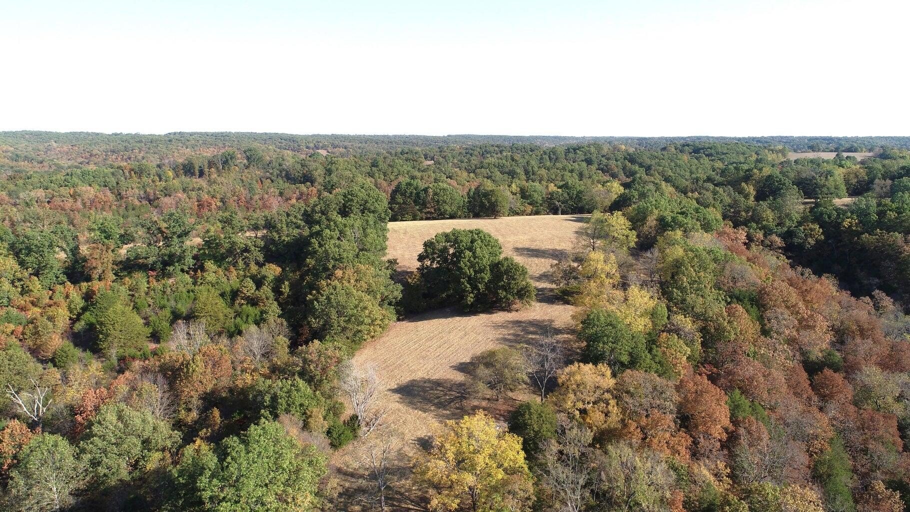 76+ Acres of Timber Land