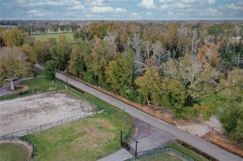 Raw Wooded Land For Sale