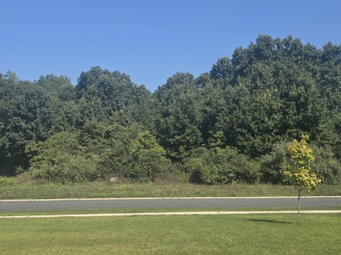 Land, Kalamazoo, MI