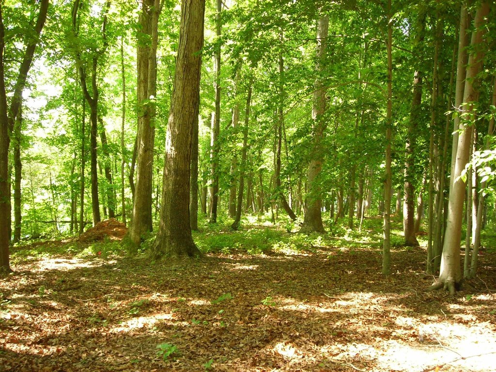 Picture 6