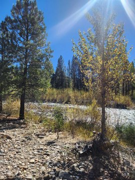 Land, Featherville, ID