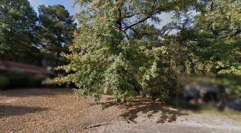 Vacant Land, De Queen, AR