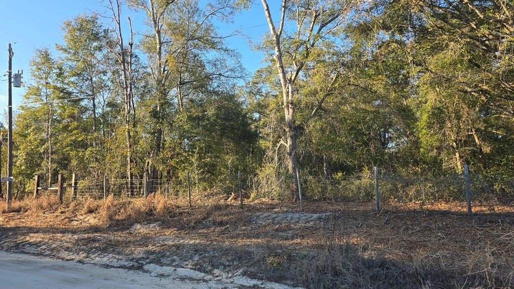 Vacant Lot in Trenton, FL