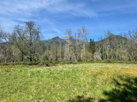 Land with Year-Round Creek