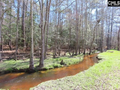 Leesville Acreage with Diverse Landscape