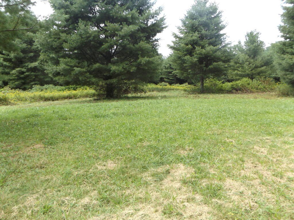 Picture 2