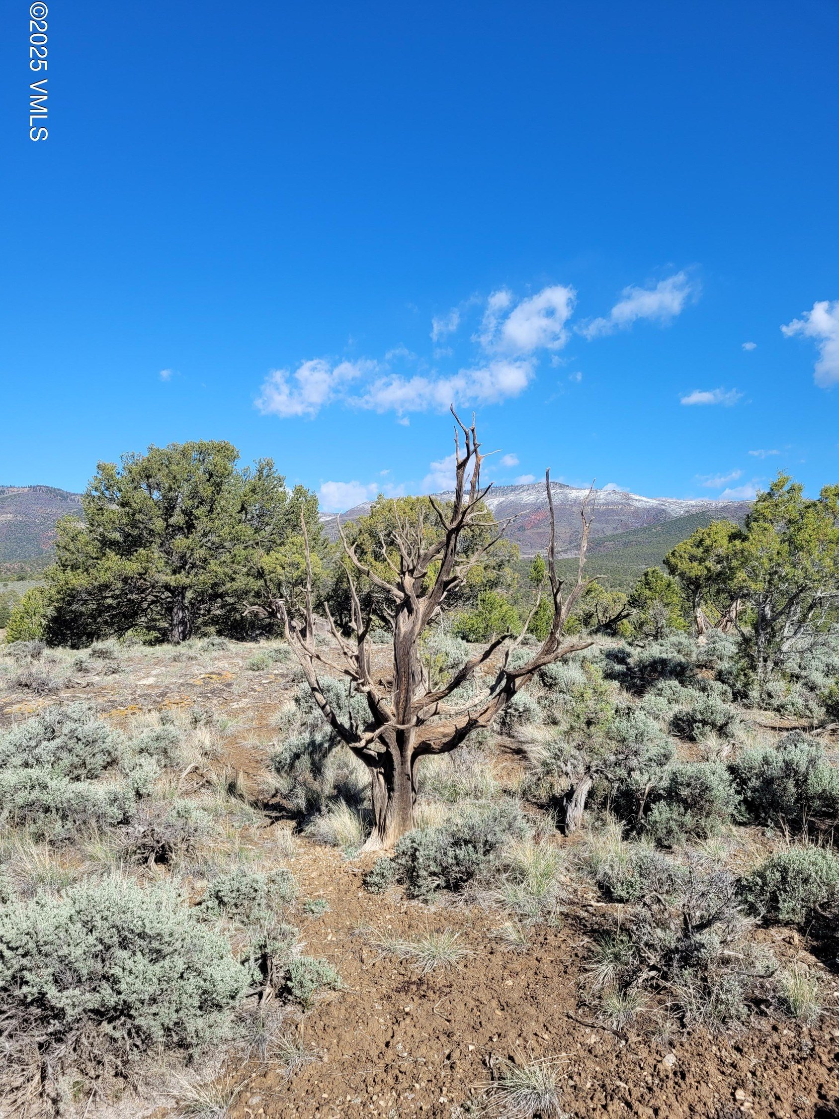 McCoy Land Bordering BLM Lands