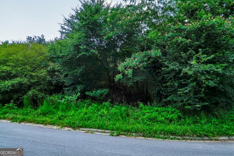 LAND - Gainesville, GA