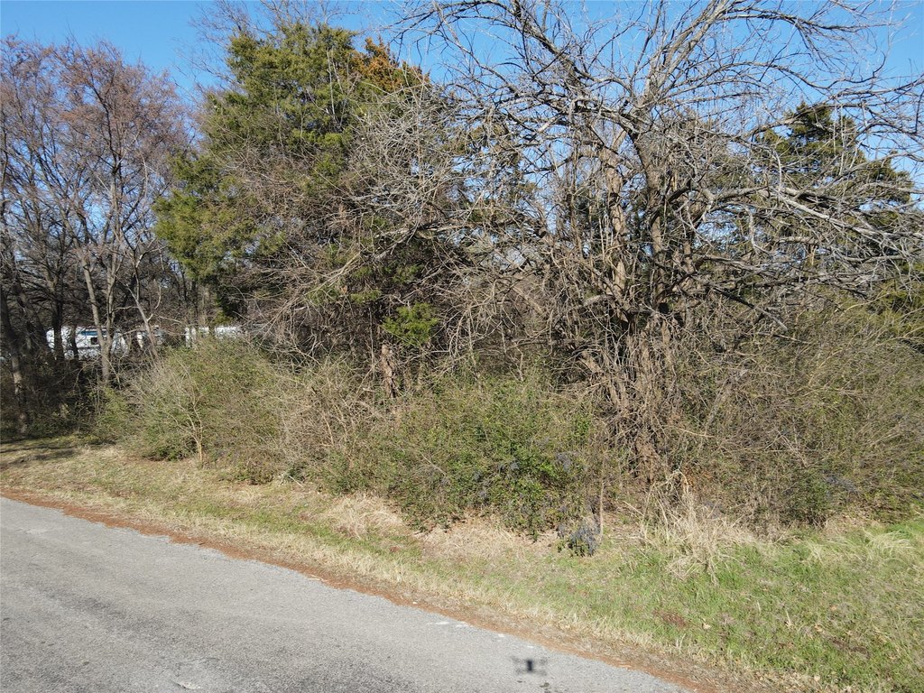 Picture 17