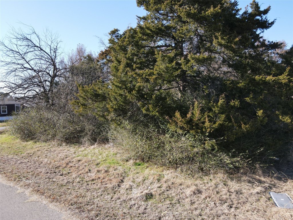 Picture 16
