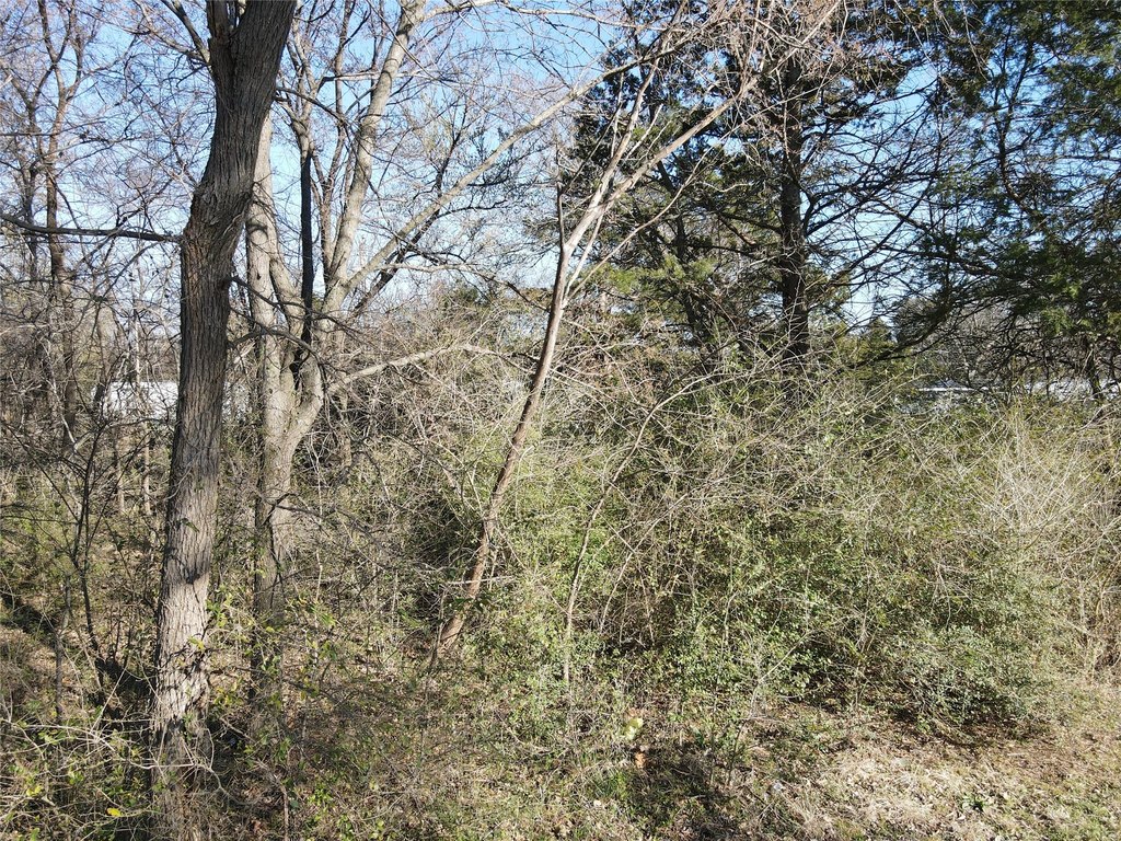 Picture 18