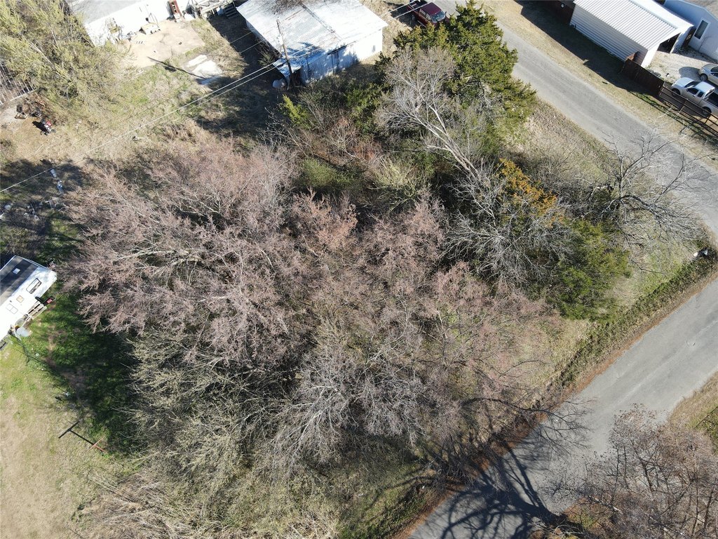 Picture 19