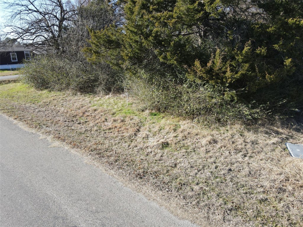 Picture 15