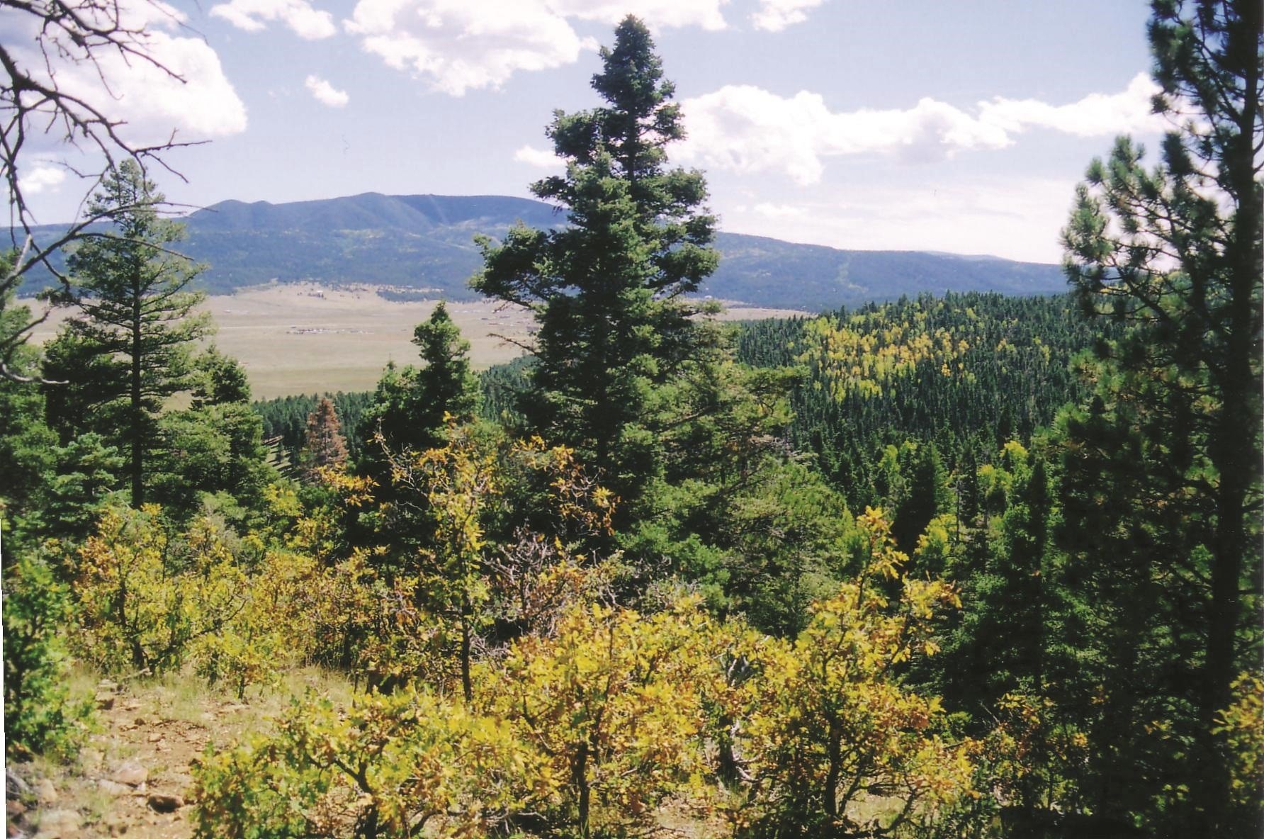 20 Acres in Taos Pines