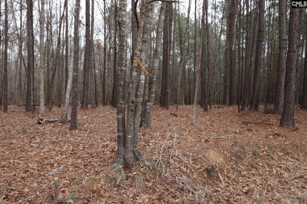 Picture 42
