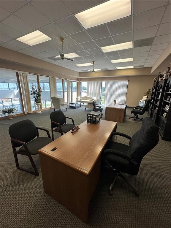 Picture 8