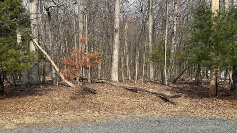 Residential Land in East Stroudsburg