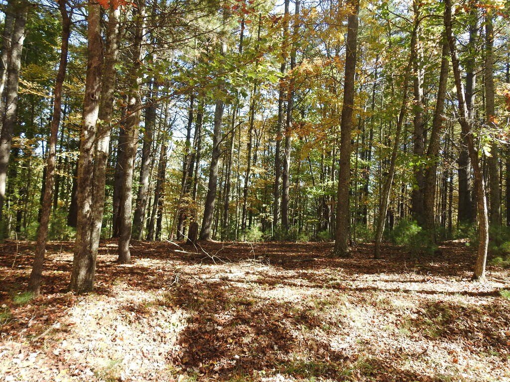 Picture 18