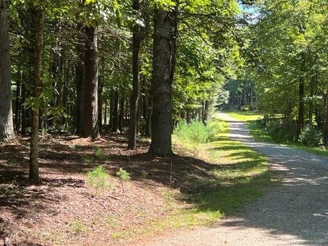 Woodlawn, VA Land For Sale