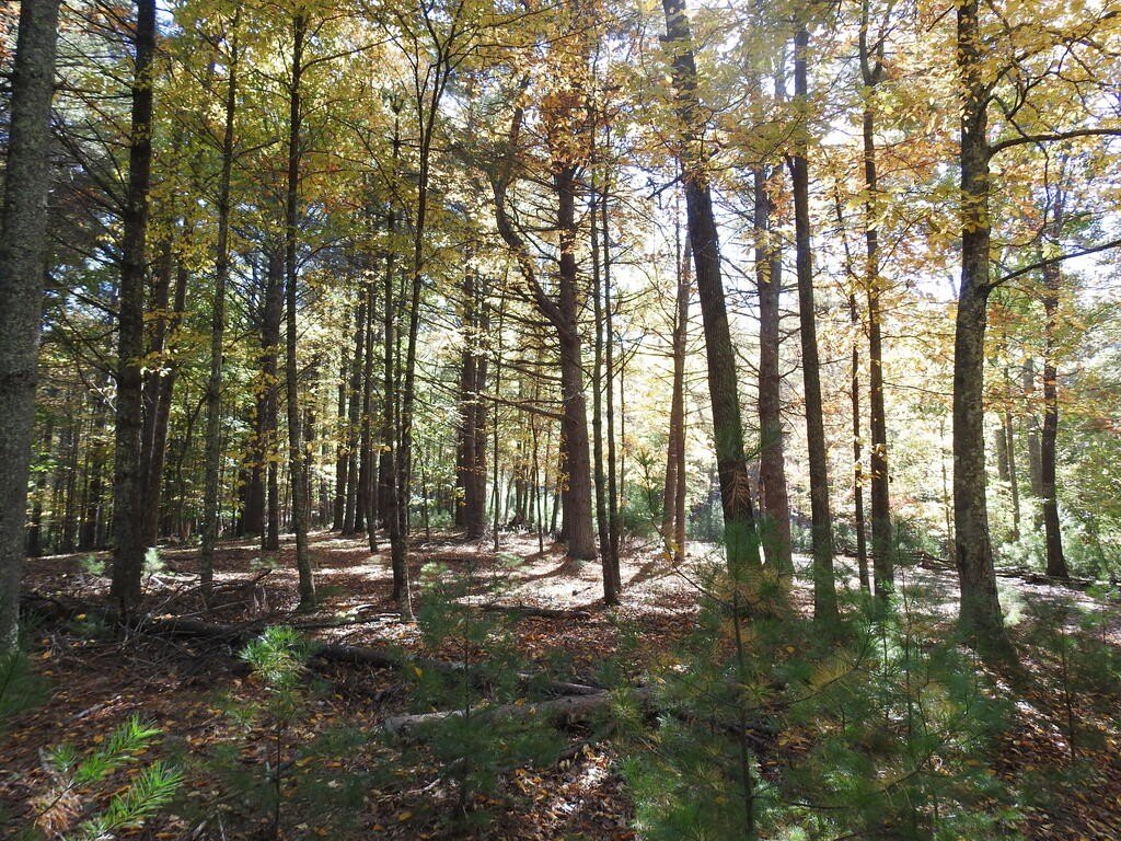 Picture 14