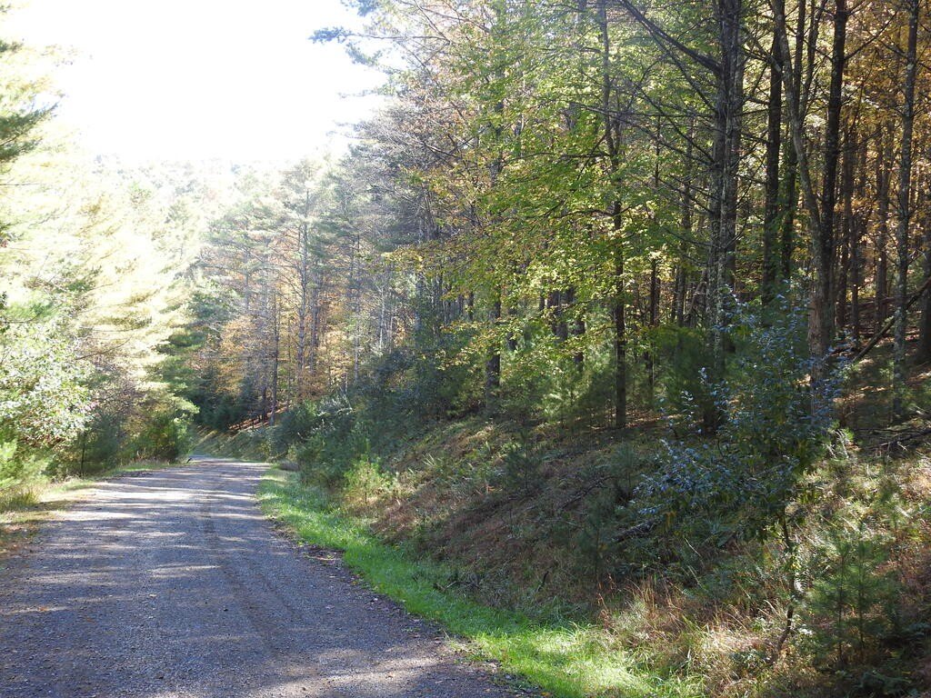 Picture 19