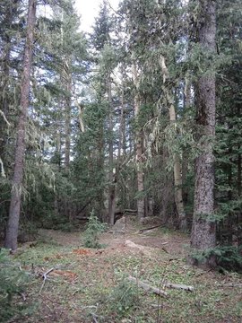 Land For Sale, Angel Fire