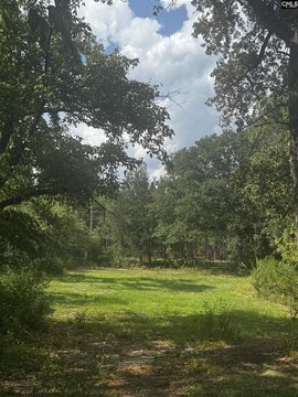 LOTS AND ACREAGE, Patrick, SC