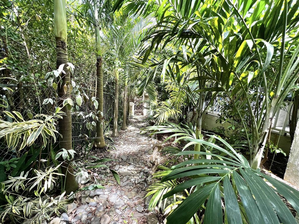 Picture 24