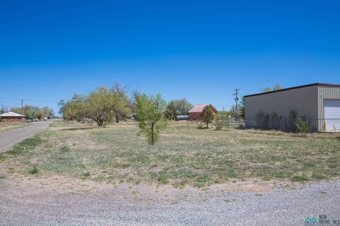 Land For Sale, Willard, NM