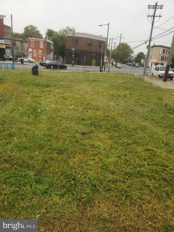Picture 8