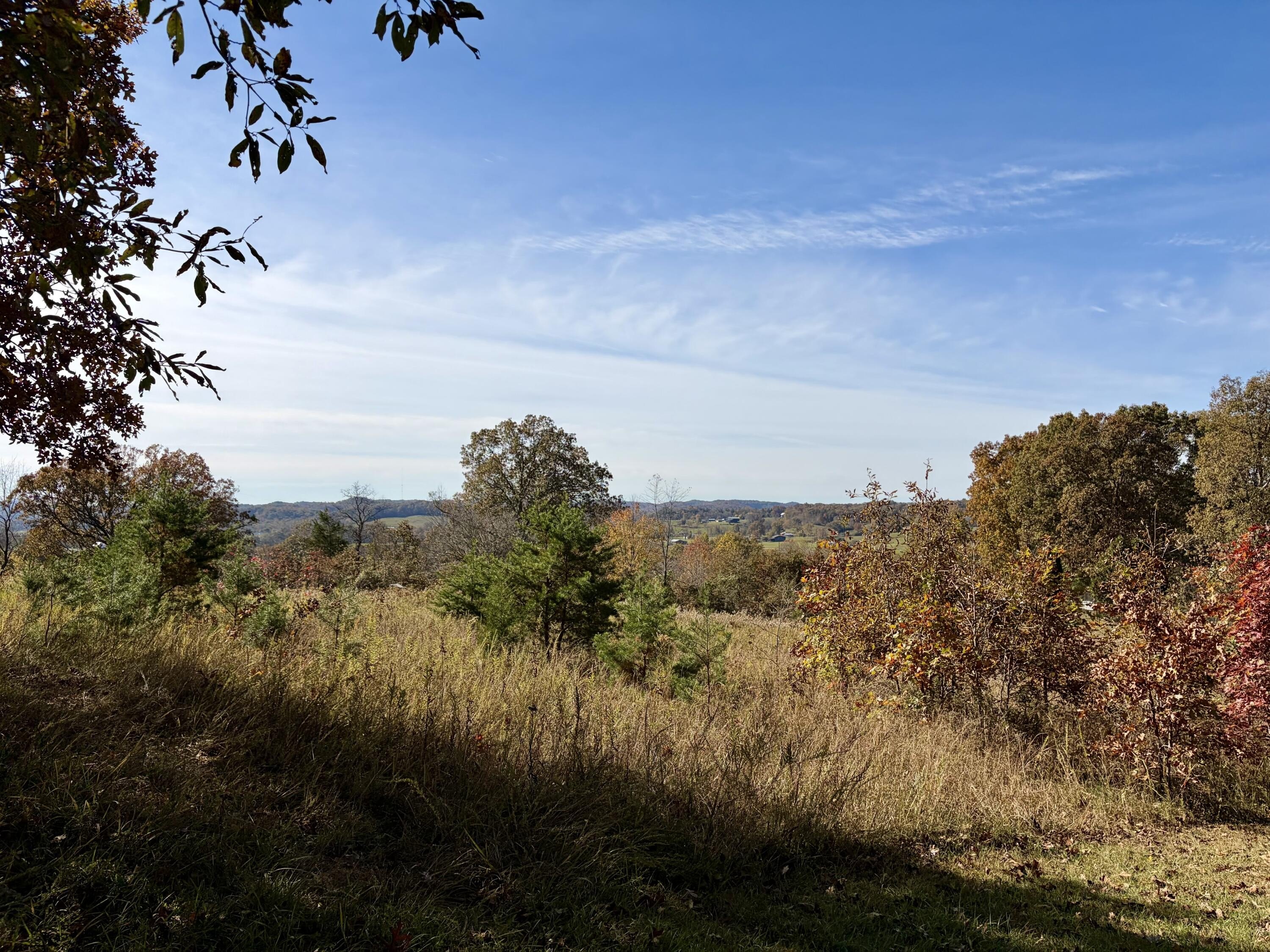 Kentucky Land Ideal Homesite/Hunting
