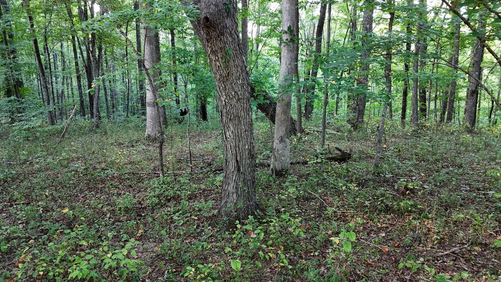 Picture 11
