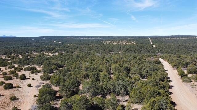 119 Acres in Edgewood, NM